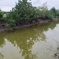 ۲۰هزار متر زمین جاده دریا گهرباران قابل ساخت ساز|فروش زمین و ملک کلنگی|طبقده, |دیوار