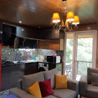 ویلا جنگلی کوهستانی|اجارهٔ خانه و ویلا|ماسال, |دیوار