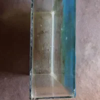 اکواریوم|ماهی|قوچان, |دیوار