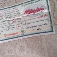 فرش و پشتی|فرش|سنندج, |دیوار