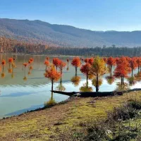 تور فوقالعادهٔ گلستانگردی|تور و چارتر|مشهد, فارغ التحصیلان|دیوار