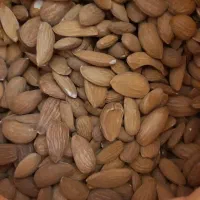 عمده فروشی|خوردنی و آشامیدنی|زاینده رود, |دیوار