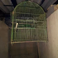 قفس پرنده