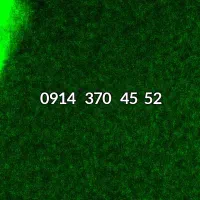 فروش سیم کارت دائمی همراه اول