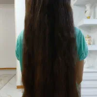 فروشنده مو طبیعی حدود ۵۰ سانت به بالاترین قیمت