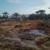 باغ