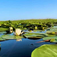 ویلا باغ در مکانی گرانبها و ارزشمند|فروش خانه و ویلا|قم, نوقطار|دیوار