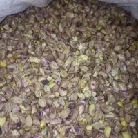 مغز پسته فندوقی|عمده‌فروشی|بردسکن, |دیوار