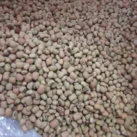 خوردنی و آشامیدنی