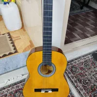 گیتار نو نو