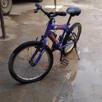 دوچرخه