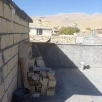 پرنده کبوتر|پرنده|فارسان, |دیوار