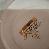 ظروف پذیرایی