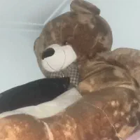 خرس قهوه‌ای بزرگ