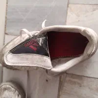 کفش سالنی سایز ۴۲|کیف، کفش، کمربند|قم, حقیقت|دیوار