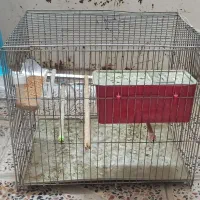قفس پرنده با تجهیزات