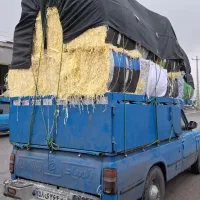 فروش انواع پوشال کاغذی میوه