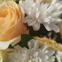 کارگر کارتن سازی