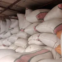 کاه لوبیا کاه گندم