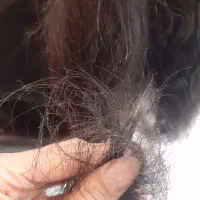 موخوره گیری  شینیون   بافت مو   آموزش خدمات  تخفیف