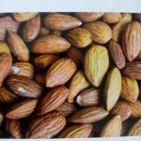 مغز بادام درختی ایرانی