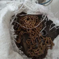 زنجیرچرخ خاور