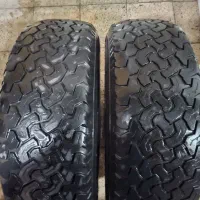 لاستیک گل درشت جنگلی