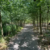 ویلای شیک رو با بهترین قیمت بخر|فروش خانه و ویلا|بافق, |دیوار