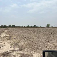 اجاره 2 هکتار زمین کشاورزی مرغوب همراه با آب|اجارهٔ دفتر صنعتی، کشاورزی، تجاری|بندرعباس, |دیوار