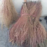 جارو|لوازم نظافت|دورود, |دیوار