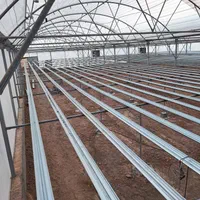 طراحی و ساخت و اجرای گلخانه|عمدهفروشی|صفادشت, |دیوار