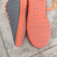 کفش ورزشی فوتسال( نایک)|کیف، کفش، کمربند|قم, بنیاد|دیوار