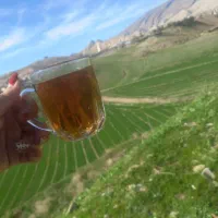 تخم مرغ محلی