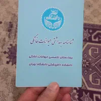 توله سگ میکس پامرواشپیتز|سگ|تهران, شوش|دیوار
