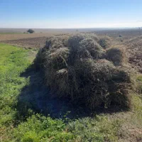 علف یونجه  برداشت سوم|عمدهفروشی|نیر (اردبیل), |دیوار