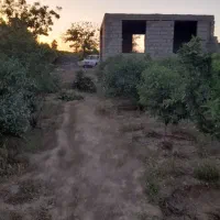 فروش-باغ