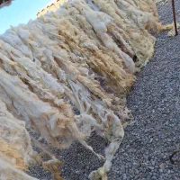 پشم فروشی|رختخواب، بالش، پتو|تبریز, |دیوار