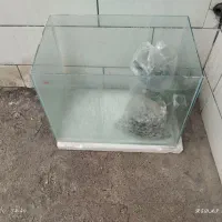 آکواریوم وتمام لوازم