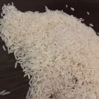 برنج فجر سوزنی گیلان