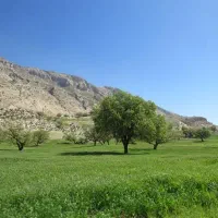 فروش زمین زراعی