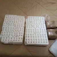 لوستر