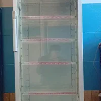 یخچال ویترینی ایستاده البرز عرض 60 سانت|فروشگاه و مغازه|گنبد کاووس, |دیوار