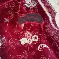 قالی ۱۲ متری|فرش|فسا, |دیوار