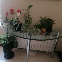 میز شیشه ای
