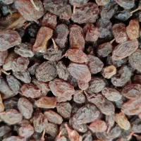 کشمش پلویی آفتاب خشک ومویز|خوردنی و آشامیدنی|کهریزک, |دیوار