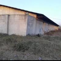 فروش مرغداری گوشتی