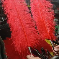 علامت پر آفریقایی