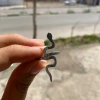 کالکشن انگشترهای جذاب کد۱۵۸