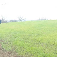 فروش ۳۰۰۰ زمین متری ۳۰۰۰میلیون. .