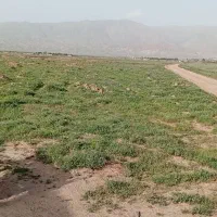 زمین فروشی